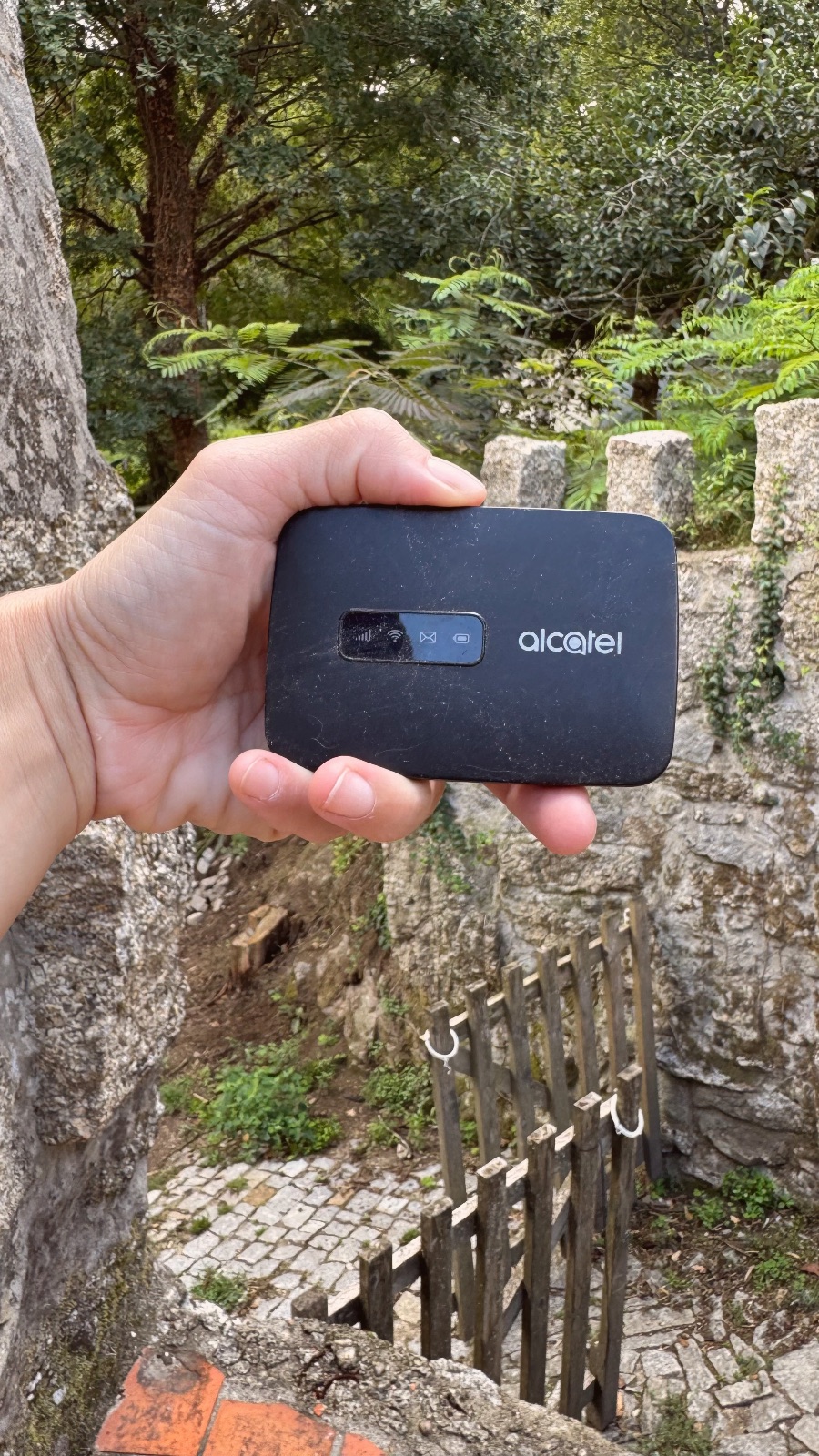 Mobile net hotspot
