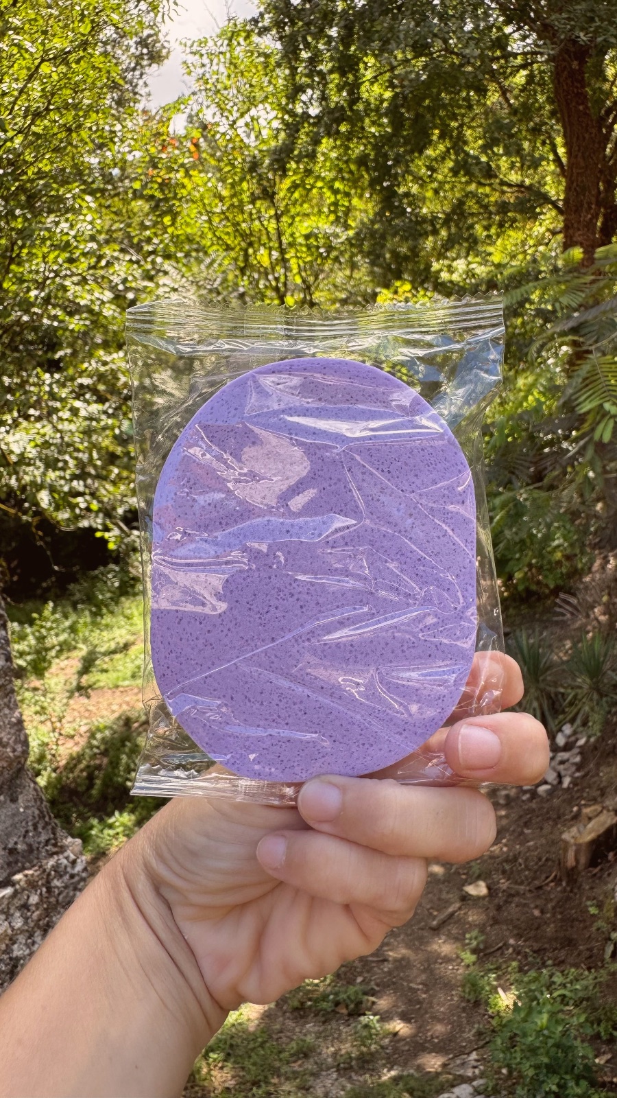 Facial sponge